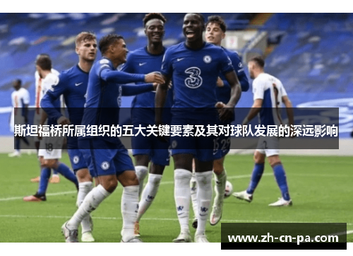 斯坦福桥所属组织的五大关键要素及其对球队发展的深远影响