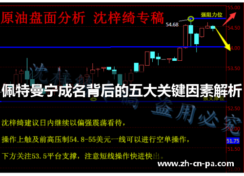 佩特曼宁成名背后的五大关键因素解析