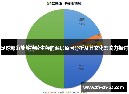 足球部落能够持续生存的深层原因分析及其文化影响力探讨