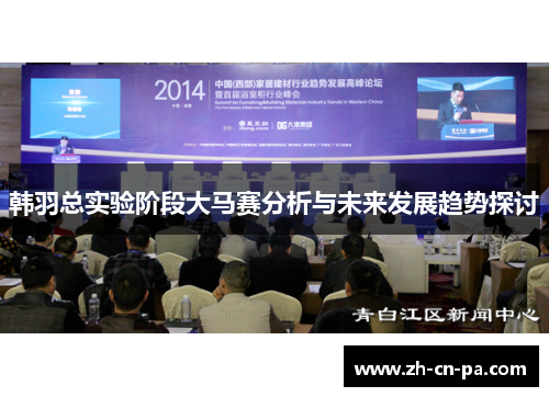韩羽总实验阶段大马赛分析与未来发展趋势探讨