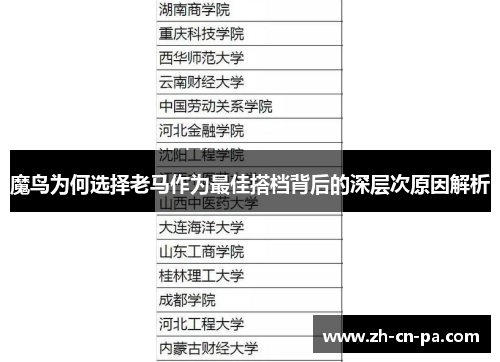 魔鸟为何选择老马作为最佳搭档背后的深层次原因解析