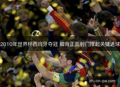 2010年世界杯西班牙夺冠 脚背正面射门撑起关键进球